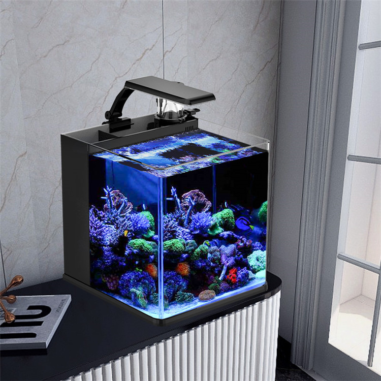 Aquarium Marine Clearwater - 스카이누오 울트라 클리어 글래스 미니 해수어항