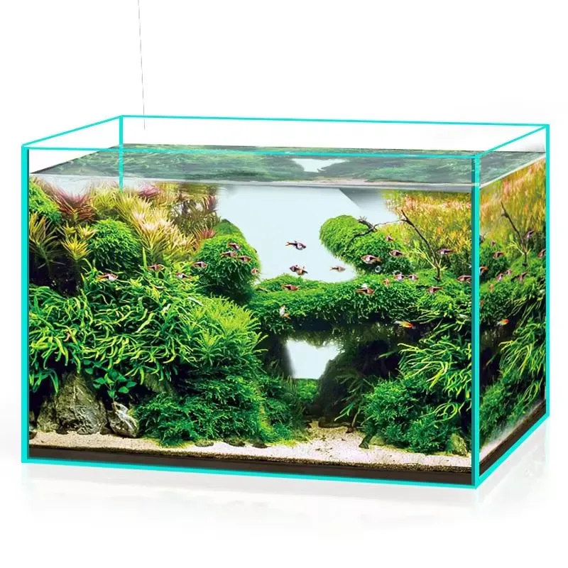 Aquarium Marine Clearwater - 초투명 유리 수족관, 모든 크기 맞춤