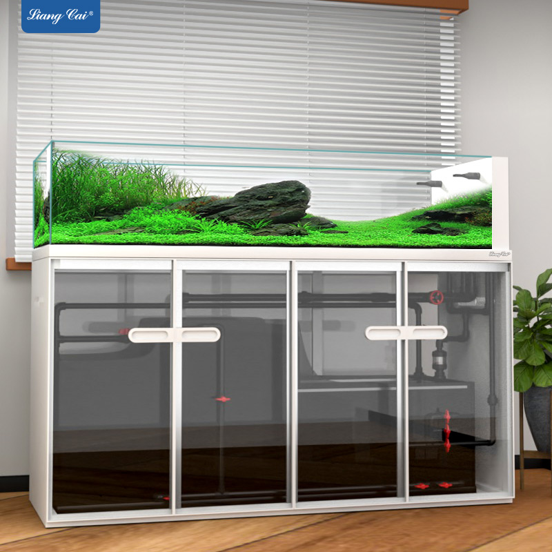Aquarium Marine Fish For Sale - 대형 모던 스타일 유리 어항 스톡