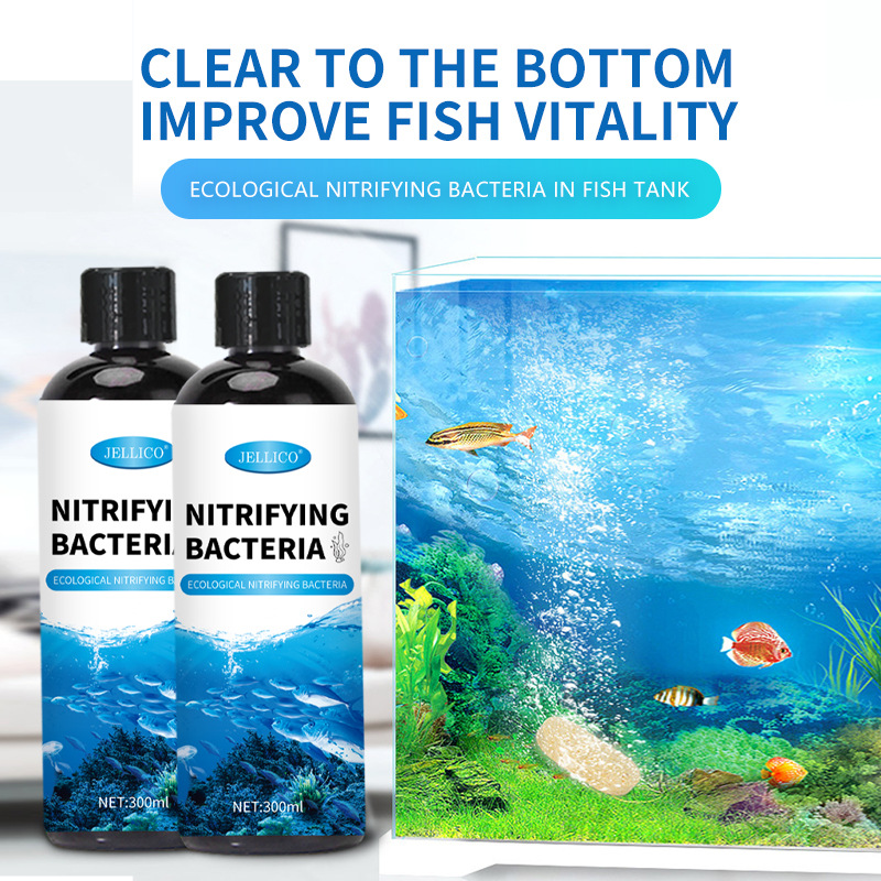 Aquarium Marine Clearwater - 300ml 질산화 박테리아 수족관 물 정화기