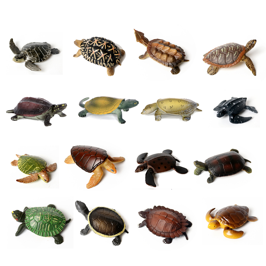 Aquarium Marine Fishes - 현실적인 미니어처 해양 생물 바다 거북이