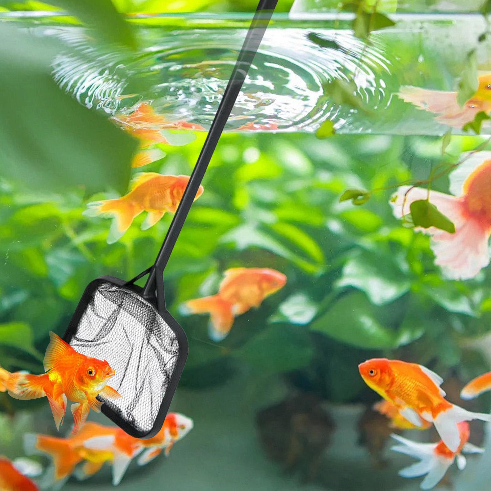 휴대용 수영장 청소용 그물망, 분수 청소용품, 수족관/ - Marine Aquarium Equipment 리뷰 및 가격