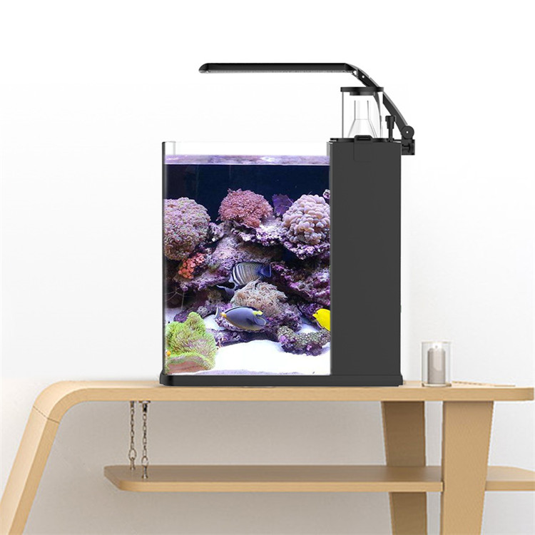 스카이누오 울트라 클리어 글래스 미니 해수어항 미디어  - Aquarium Marine Clearwater 리뷰 및 가격