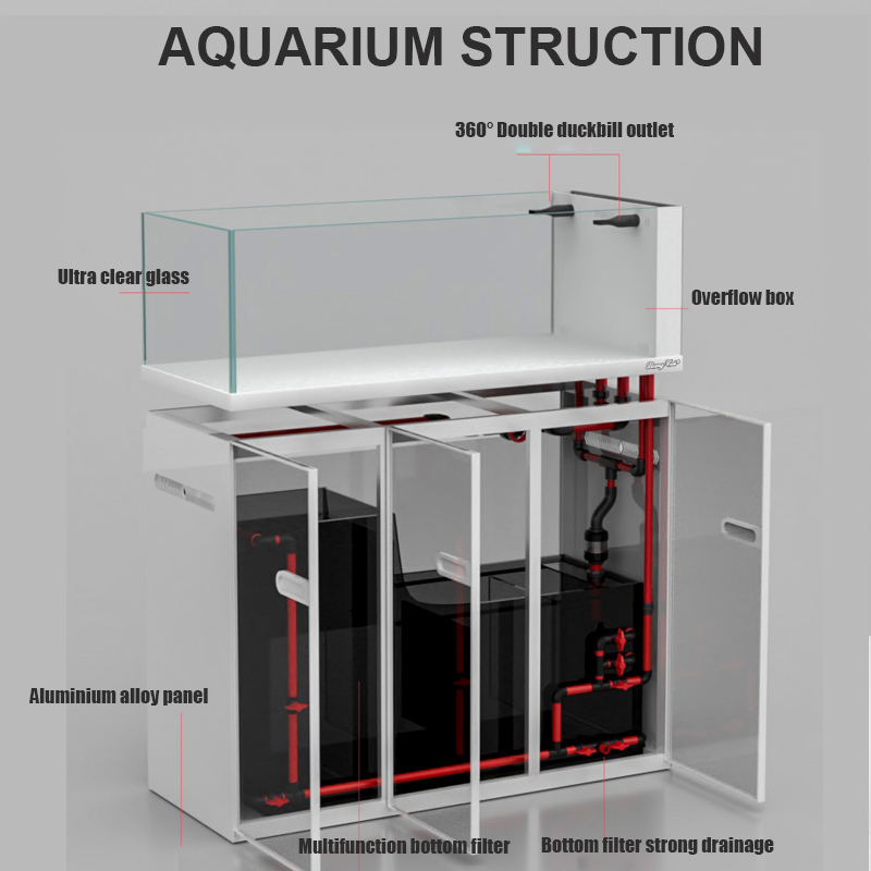 대형 모던 스타일 유리 어항 스톡 탱크 해양 어항 용품 - Aquarium Marine Fish For Sale 리뷰 및 가격