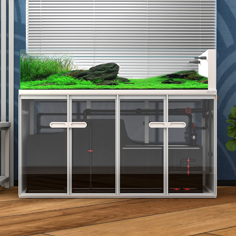 대형 모던 스타일 유리 어항 스톡 탱크 해양 어항 용품 - Aquarium Marine Fish For Sale 리뷰 및 가격