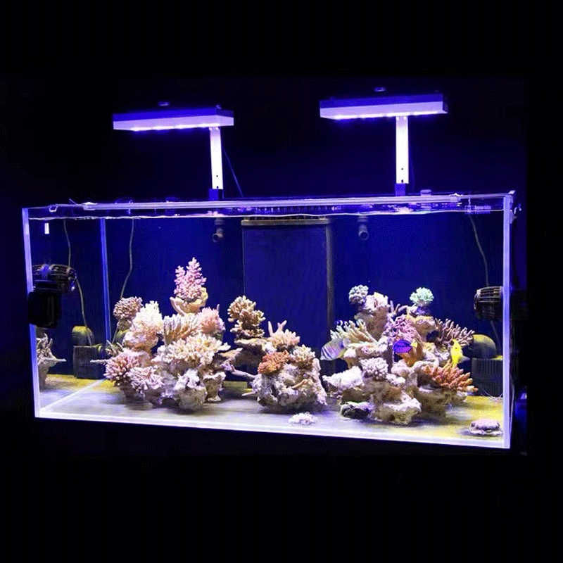 아쿠아 일루미네이션 AI 하이드라 32HD/64HD 리 - Aquarium Marine Fishes 리뷰 및 가격