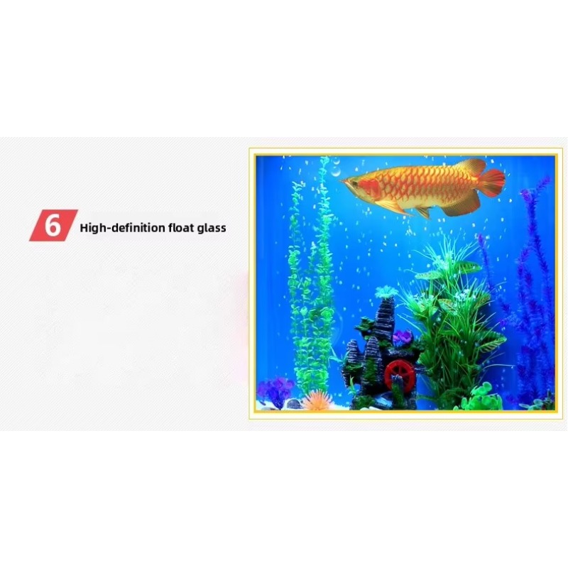 해양 대형 200갤런 어항, 공장 직판 실내 가정용 대 - Aquarium Marine Fish For Sale 리뷰 및 가격