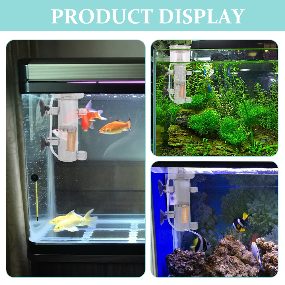 단백질 스키머 아크릴 수족관 분리기, 해수어항 해양 액 - Aquarium Marine Fishes 리뷰 및 가격