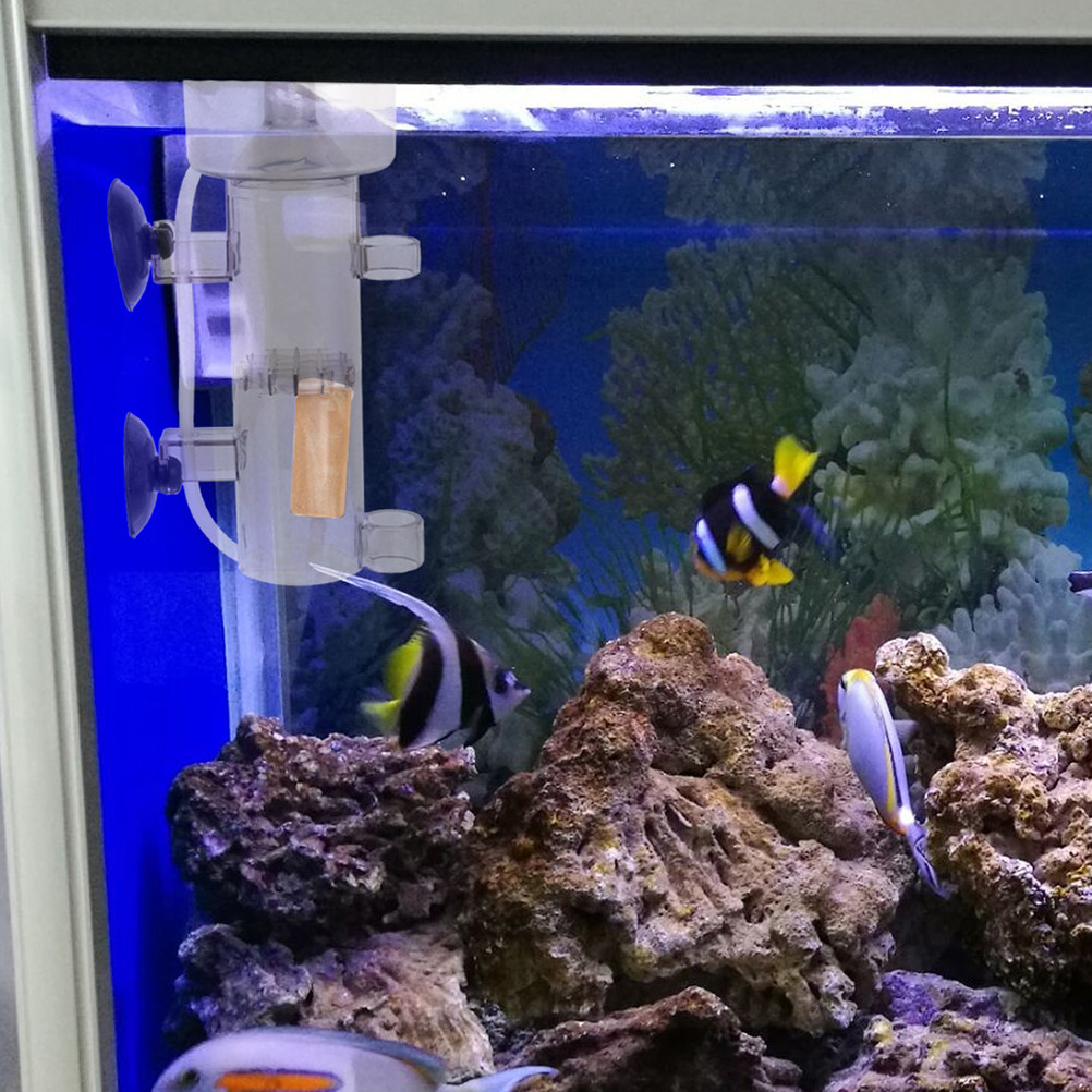 단백질 스키머 아크릴 수족관 분리기, 해수어항 해양 액 - Aquarium Marine Fishes 리뷰 및 가격