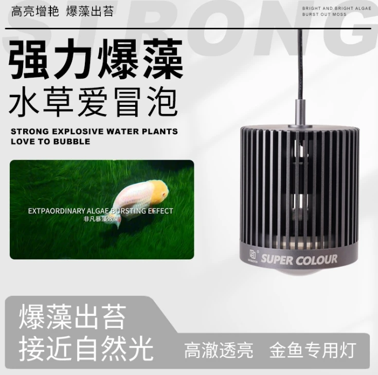 MAYIN LED 슈퍼 컬러 3D 뜨거운 판매 물고기  - Aquarium Marine Fish For Sale 리뷰 및 가격