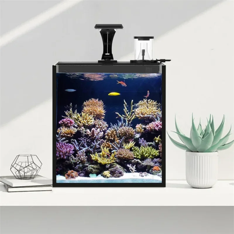 초특가 초투명 유리 미니 해수 어항 (해양용) - Aquarium Marine Fish For Sale 리뷰 및 가격