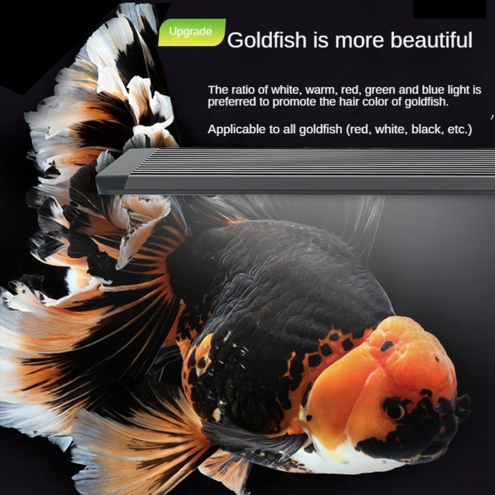 광학 렌즈가 있는 수족관 조명 LED 어항 수족관 밝기 - Aquarium Marine Clearwater 리뷰 및 가격