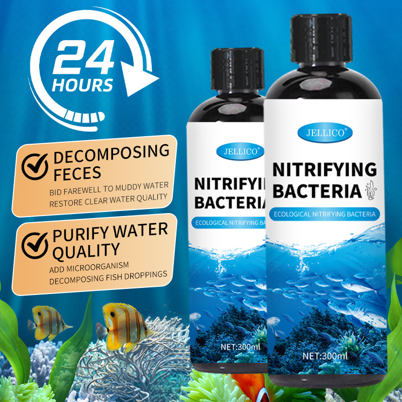 300ml 질산화 박테리아 수족관 물 정화기 물고기 배 - Aquarium Marine Clearwater 리뷰 및 가격