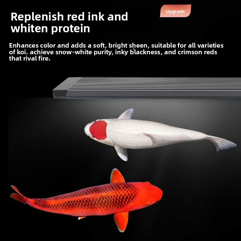 해수어항용 LED 수족관 조명, 해양 조명 시스템으로  - Aquarium Marine Clearwater 리뷰 및 가격