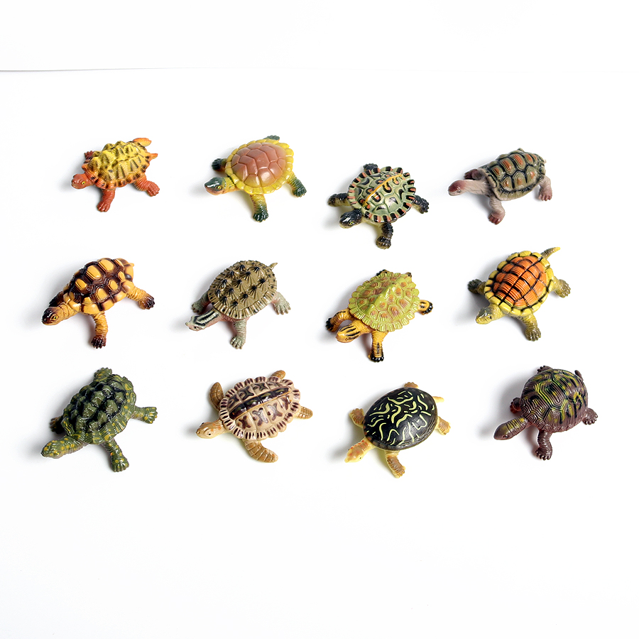 현실적인 미니어처 해양 생물 바다 거북이 모델, 해양  - Aquarium Marine Fishes 리뷰 및 가격