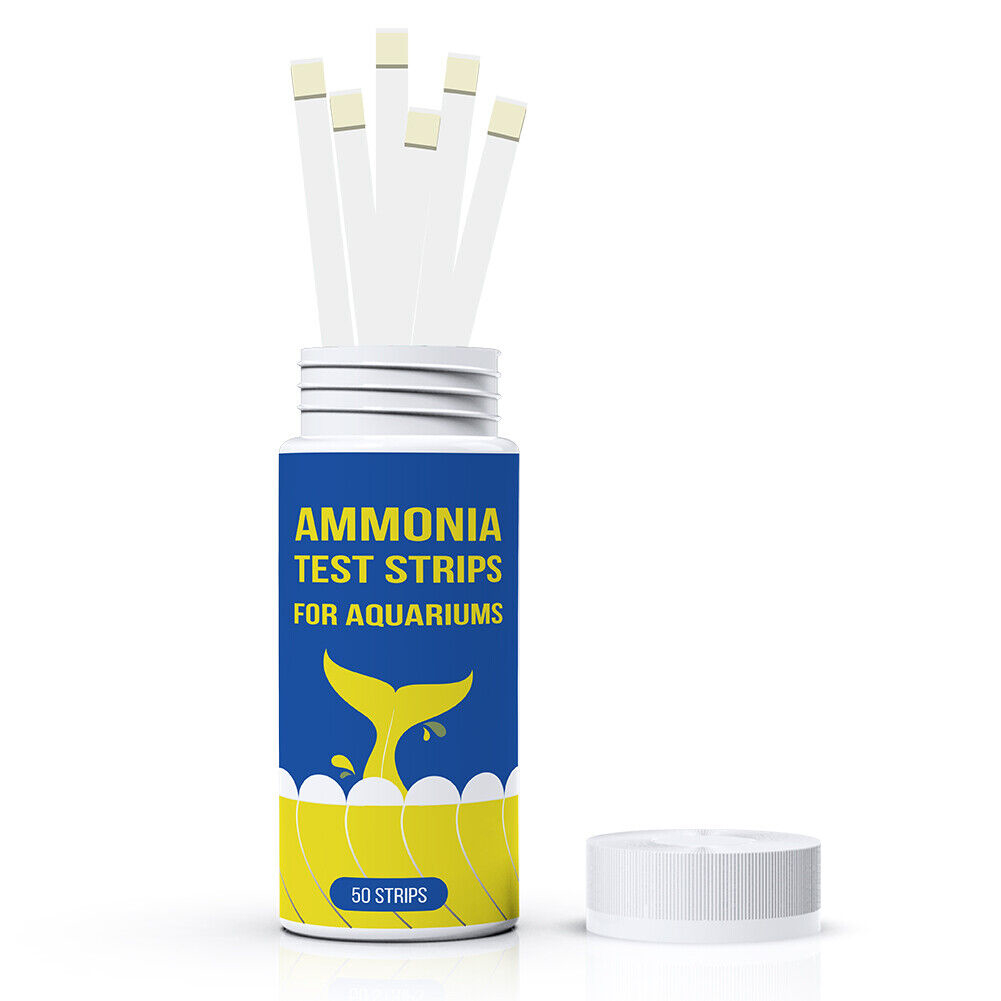 수족관 전문가를위한 민물 바닷물 수족관을위한 50Pc  - Marine Aquarium Water Test Kit 리뷰 및 가격
